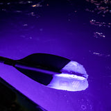 Night Kayak @ Condado Lagoon